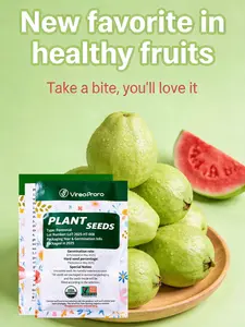 Sweet & Juicy Guava  Red Heart Seeds – Perfect for Home Garden