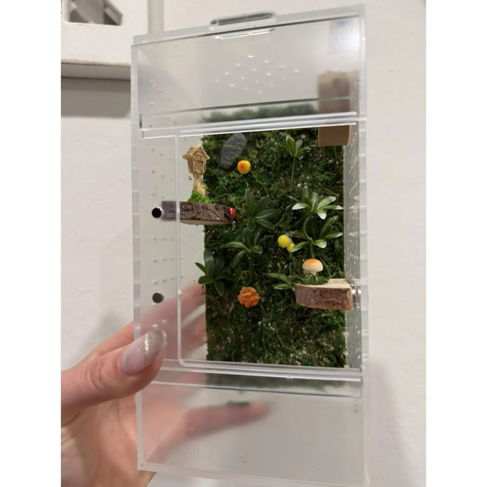 4x4x8 Decorated Jumping Spider Enclosure with Top and Front Opener Soil Included Easy Setup for Beginners