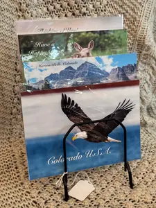 Assorted Postcards by Tracy Doty