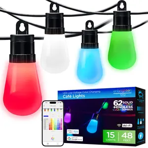 Enbrighten VIBE WiFi Color-Changing Lightweight LED Cafe Lights, 15 Plastic Bulbs, 48ft. Black Cord