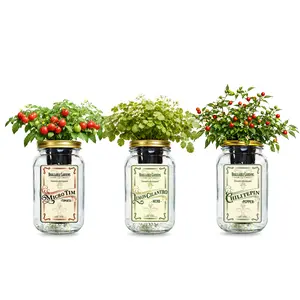 Salsa Garden Mason Jar Grow Kit (3 Pack) – Tiny Tim Tomato, Lemon Cilantro & Chiltepin Pepper – Indoor Hydroponic Herb & Vegetable Grow Kit – Windowsill Salsa Ingredient Garden
