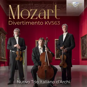 Nuovo Trio Italiano d'Archi - Divertimento, KV563  [COMPACT DISC - CD]