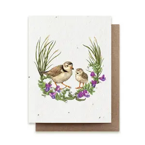 Summer Plovers Plantable Herb Seed Card