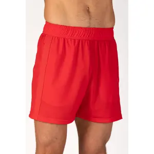 Men's Mesh Short : 4.5"