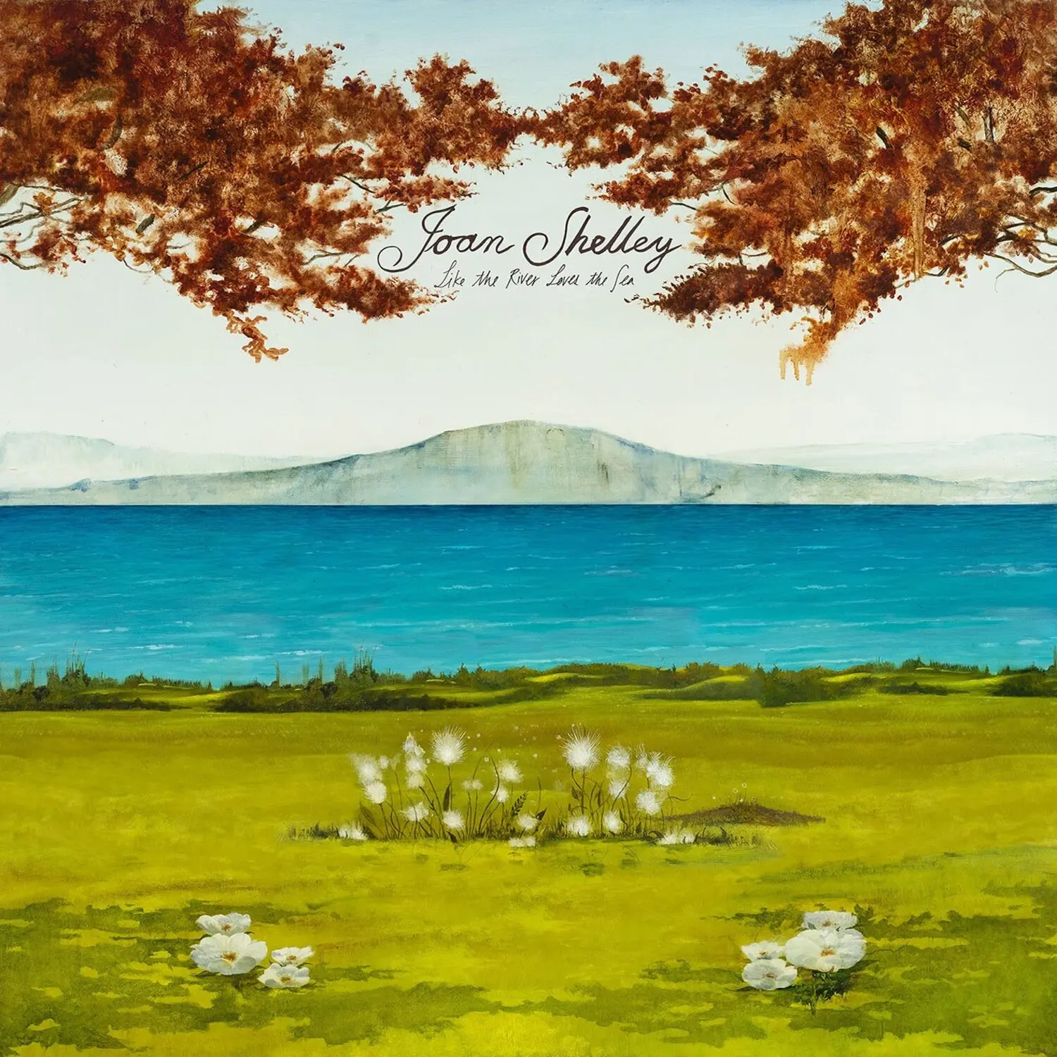 Joan Shelley - Like The River Loves The Sea  [COMPACT DISC - CD]