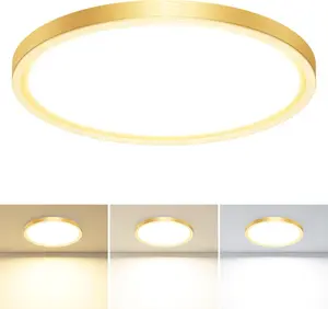 LED Flush Mount Ceiling Light Fixture, 3000K-4000K-6500K & 100W Equivalent Modern Kitchen Recessed Ceiling Lamp 24W 3200Lm 12 Inch Closet Round Surface for Bathroom Laundry-Gold