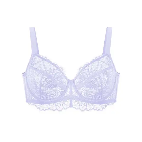 HSIA Sunflower Floral Lace Unlined Sexy Plus Size Underwire Full Coverage Bra