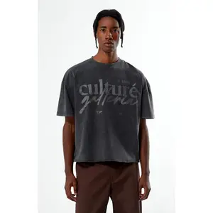 Pacsun Men's Culture Galleria Cropped T-Shirt