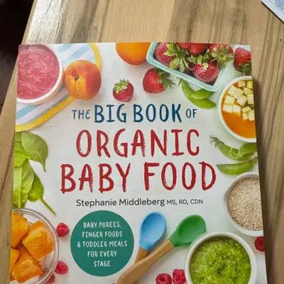 Toddler Lunch Ideas Dairy Free TikTok Shop