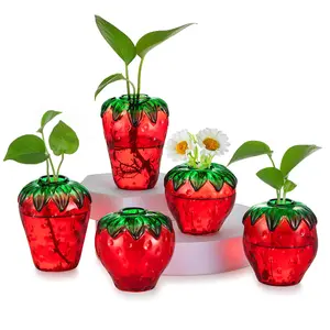 Glass Strawberry Propagation Vase , Cute Mini Vases Decorative Set of 1 Unique Small Strawberry Vases for Flowers,Aesthetic Mini Cute Vase Decor,Hydroponic Bud Vase for Bedroom Bathroom Kitchen.
