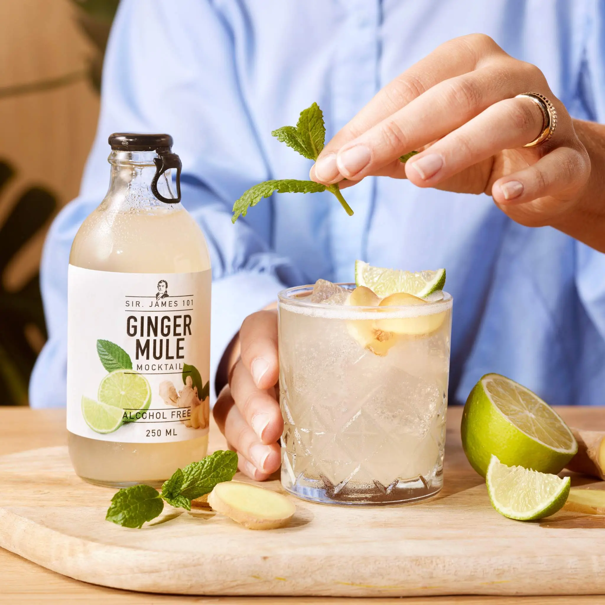 Sir. James 101 Sweet Non-Alcoholic Ginger Mule Beverage, 6-Pack Carbonated Water Drink with Flavouring, Color E150a, for Adults, Better Rhodes