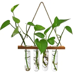 Wall Hanging Planter Terrarium with Wooden Stand, Mini Test Tube Flower Vases Retro Hanging Glass Planter Propagator for Hydroponic   Home Decor, 4 Propagation Tubes
