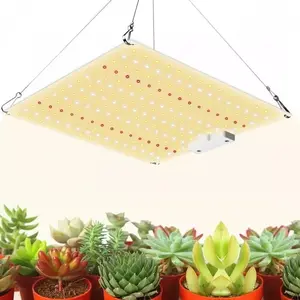 1000W LED Grow Light Full Spectrum for Indoor Plants, Ideal for All Growth Stages from Seedling to Bloom