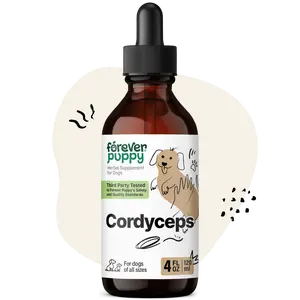 Cordyceps Mushroom Extract for Dogs - Liquid Energy Support Supplement w/Cordyceps Sinensis for Kidney Cleanse - Mushroom Drops for Dogs' Canine Kidney Health Support - 4 oz