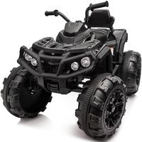 2WD Black