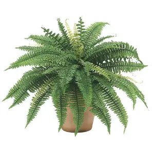 212 MAIN 25-In Decorative Boston Fern Bush - Artificial Faux Plants, 48 Stems per Bush, 6 Total Units for Indoor Home & Garden Decor