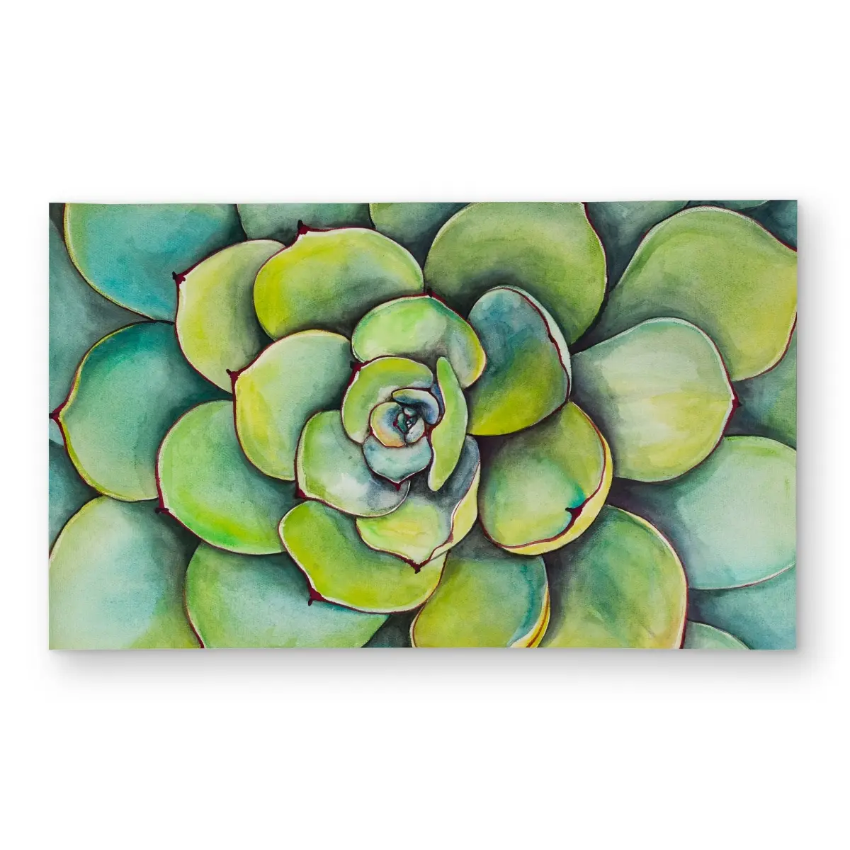 360 stand Watercolor Succulent Theme Home Decor Rug - 3x5 ft. Rectangle, Leaf Illustrations, Household Textiles Accent, Home Decor Rugs, Home Decorative Rug, Indoor Area Rugs