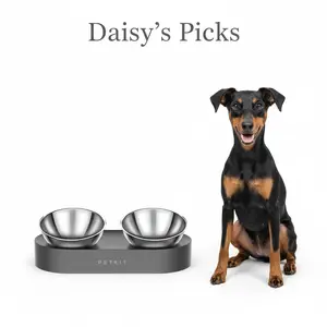 Adjustable Elevated Double Bowl Feeder - Stainless Steel