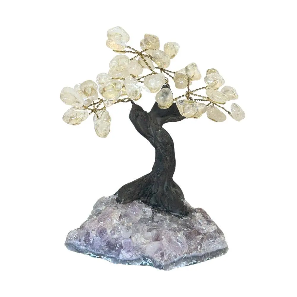 Feng Shui Money Tree - Clear Quartz