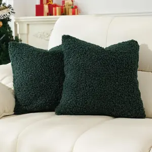 Pillow Covers Decorative Curly Teddy Wool 20X20 Inch Throw Pillows Set of 2, Boucle Textured Neutral Cushion Covers for Chair Sofa Bedroom Living Room Bed Decor, Green