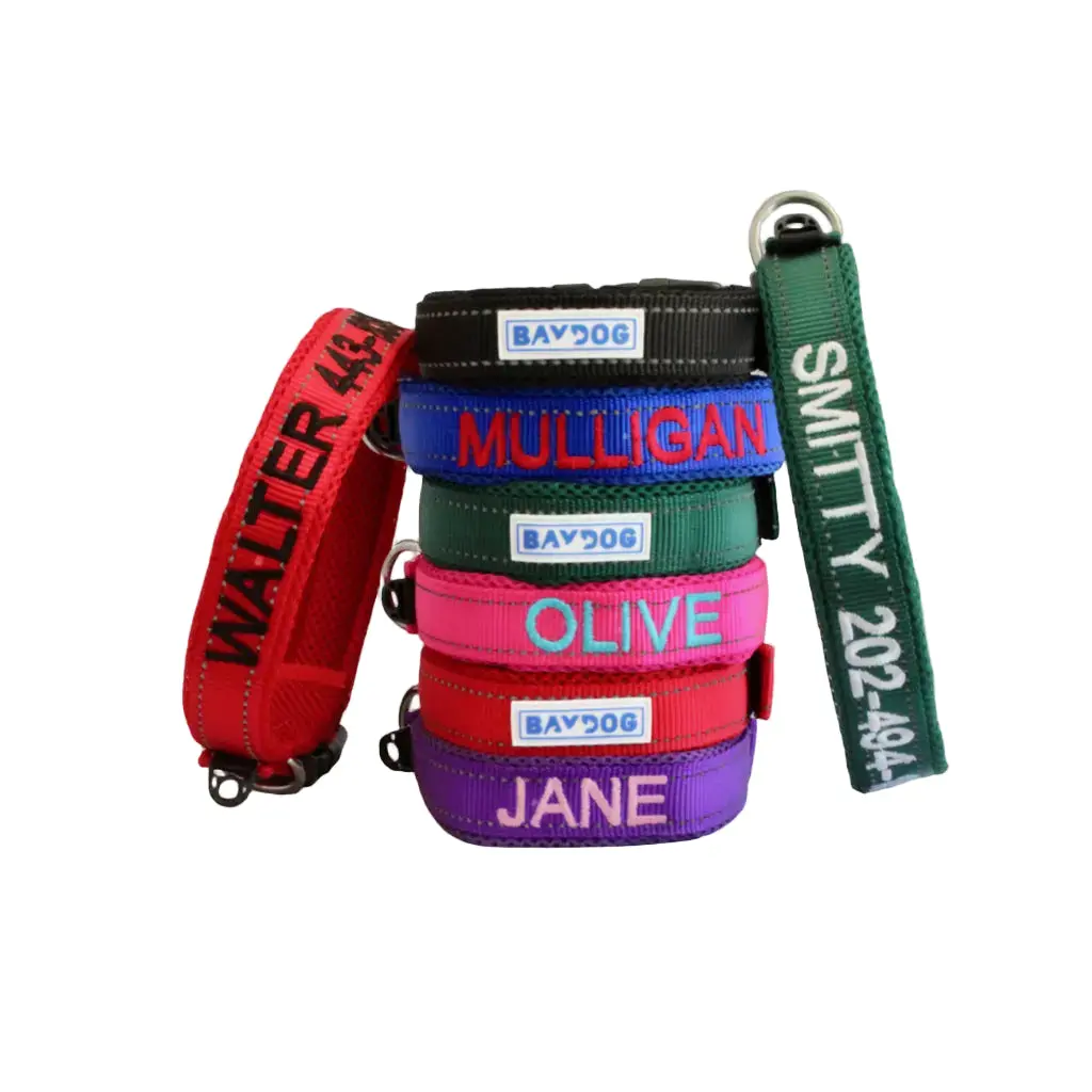 Embroidered Dog Collar