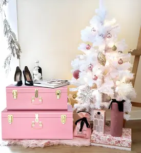 Blush Pink Vintage Metal Storage Trunk Set (2-Pack) for Memories and Keepsake and Gifts Storage