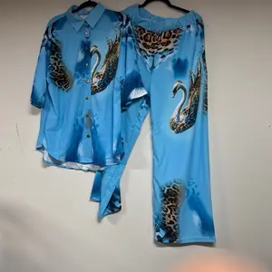 Women's Beautiful 2-Piece Casual Outing Set