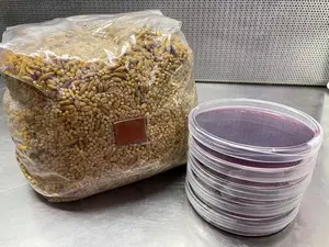 Grain Bag with 5 FREE Agar Plates