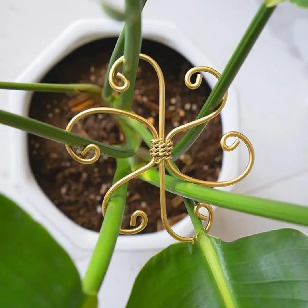 Snake Plant Support Holder, Anti-Tilt Spring Fern Stand, Hydroponic Branch Fixer, Flower Pot Rack, Gardening Plant Clip, Climbing Support Frame, Garden Trellis, Versatile Use, Easy Installation, Garden Plant Supplies