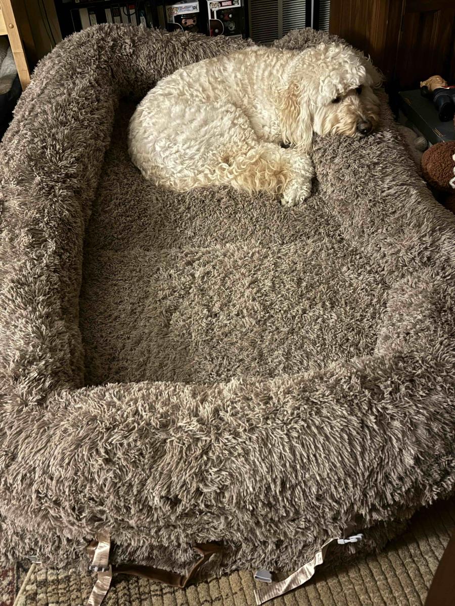 Item: 3-in-1 Flexible Camel(68x44x12)