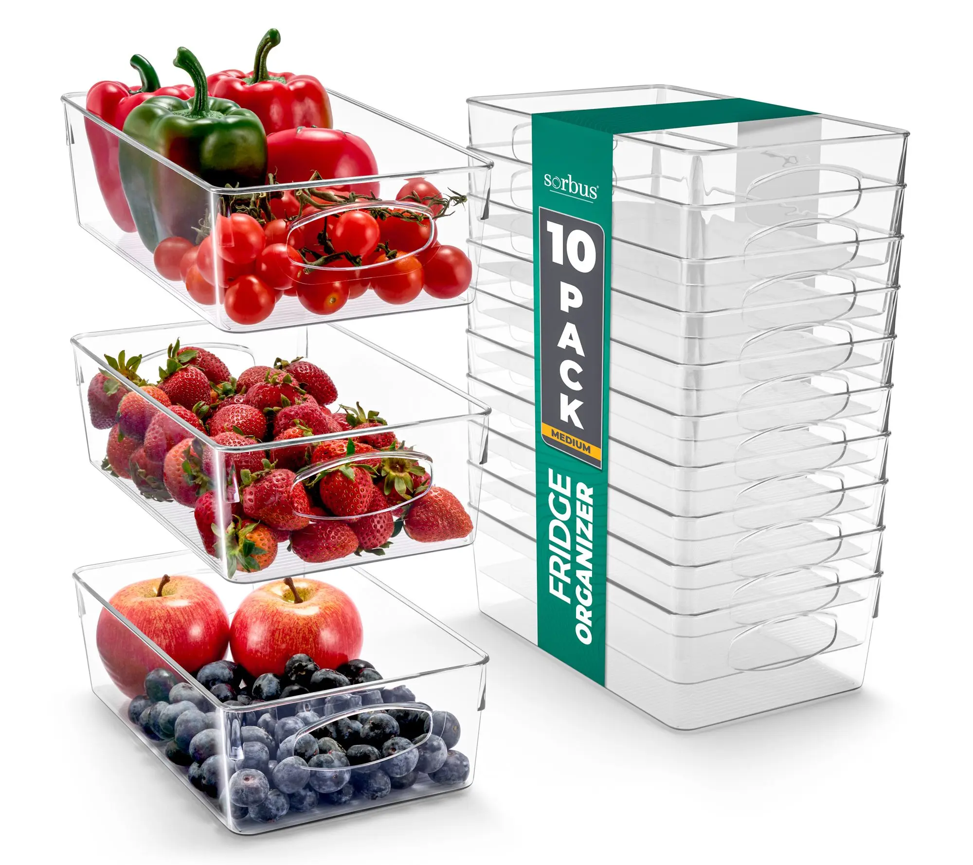 Sorbus 10-Pack Medium Clear Plastic Storage Bins