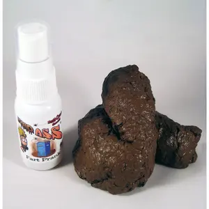 Smelly Poop Prank