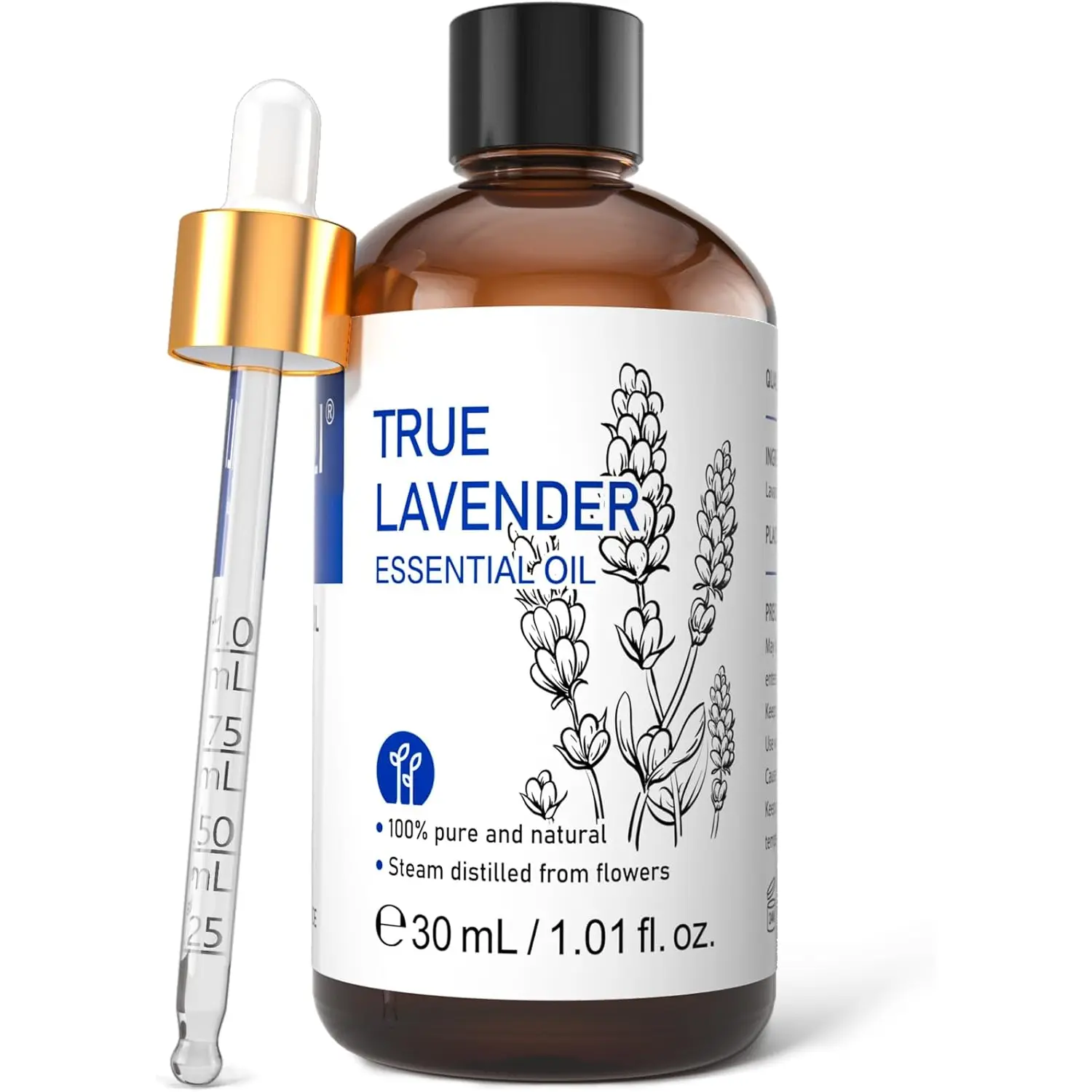HIQILI Therapeutic Grade Lavender Essential Oil for Diffusers - Natural Aromatherapy for Relaxation, Stress Relief, and Sleep Aid - 1 Fl Oz Huiqili Supply Chain