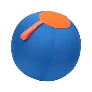 Dog Herding Sphere for Shepherds, Corgis, Collies Interactive Bouncy Toy
