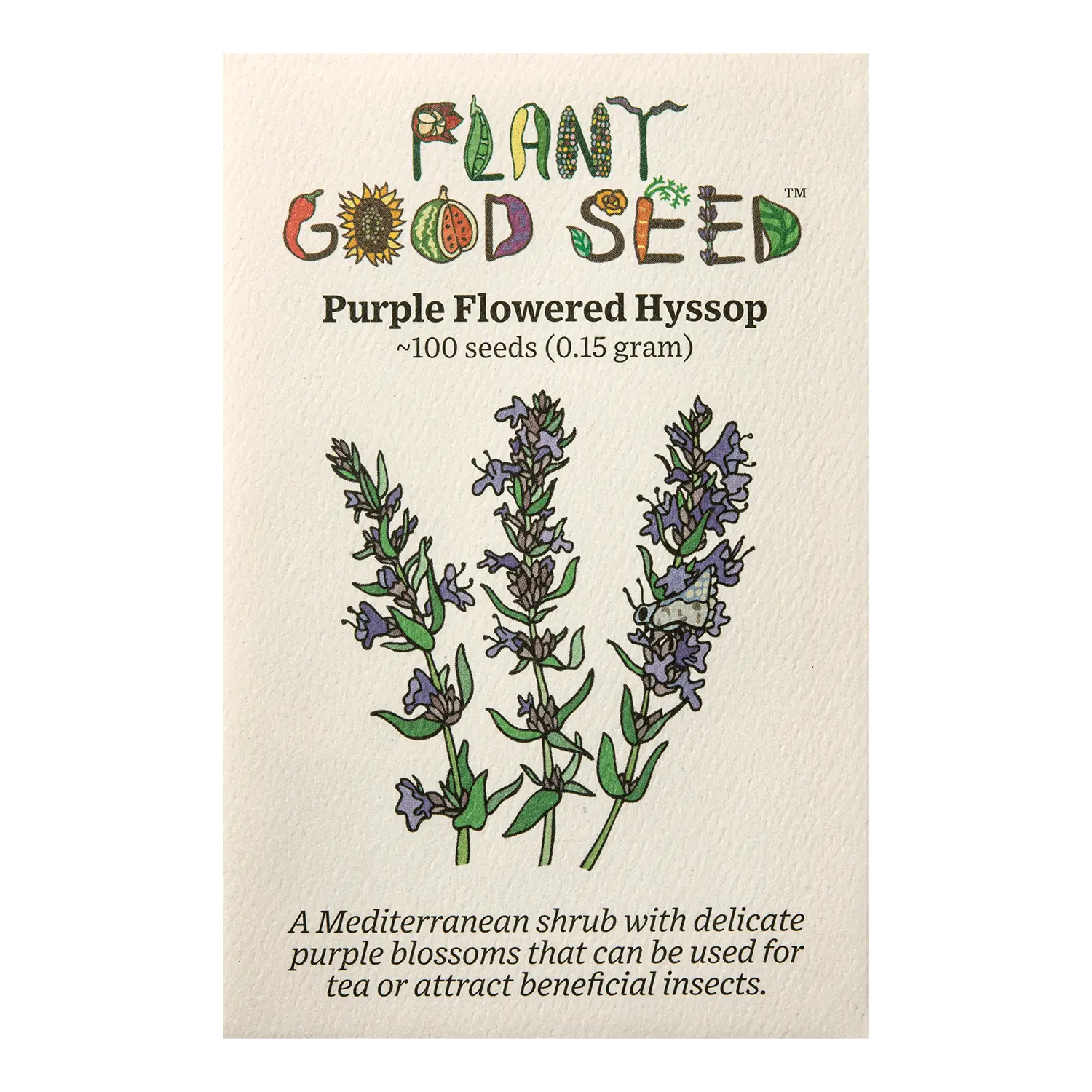 Purple Flowered Hyssop Seeds for Planting - Bible Hyssopus officinalis, Perennial Cold Hardy Shrub, Certified Organic - 100 Seed Packet
