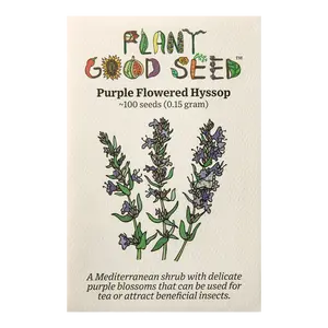 Purple Flowered Hyssop Seeds for Planting - Bible Hyssopus officinalis, Perennial Cold Hardy Shrub, Certified Organic - 100 Seed Packet
