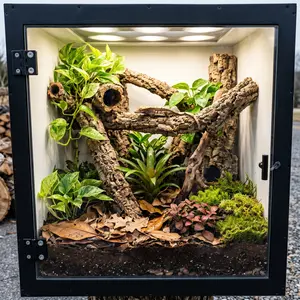Nutribird 24 Series Bioactive PVC Arboreal Reptile Terrarium - Durable Materials, Easy-Access Doors, Secure Latches, Adjust-Airflow Design for Geckos