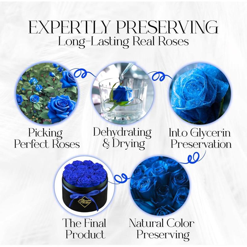 Eternal Prestige Velvet Black | 12 Blue Roses  Decor Box