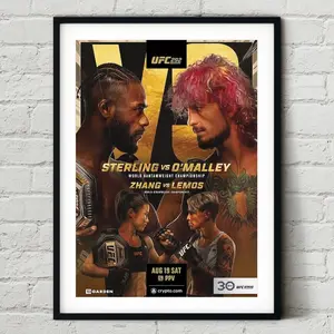 UFC 292 Aljamain Sterling vs. Sean O'Malley Fight Poster