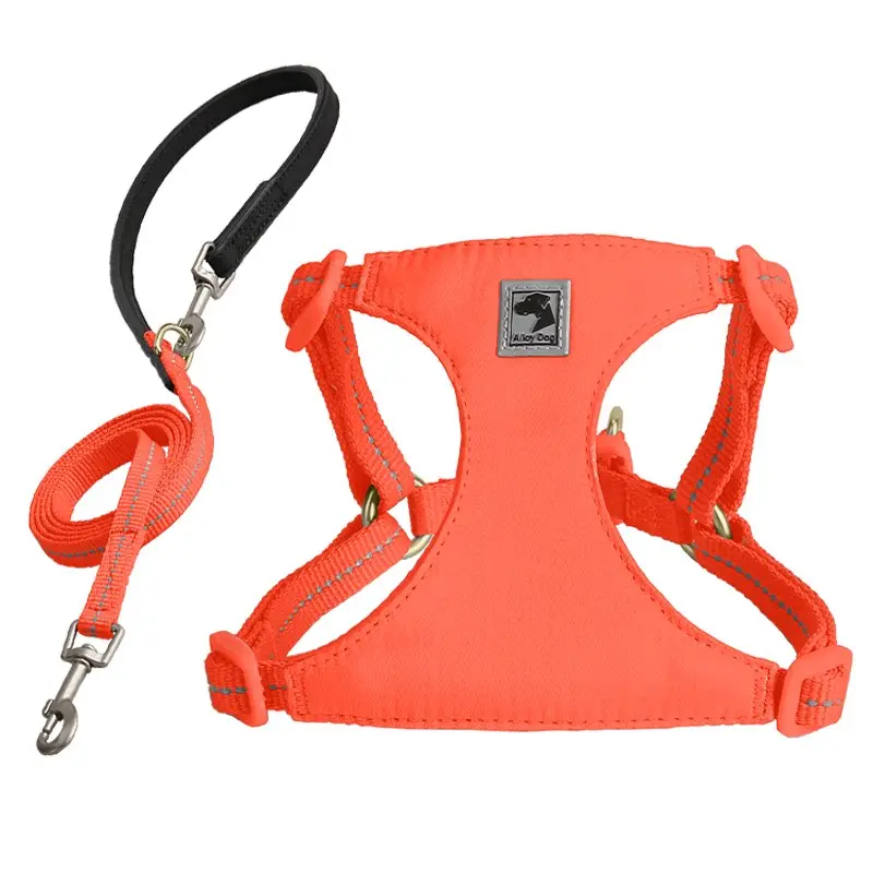 Sunset Orange (chest and back + traction rope)
