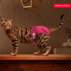 Cat Diapers (3-Pack)