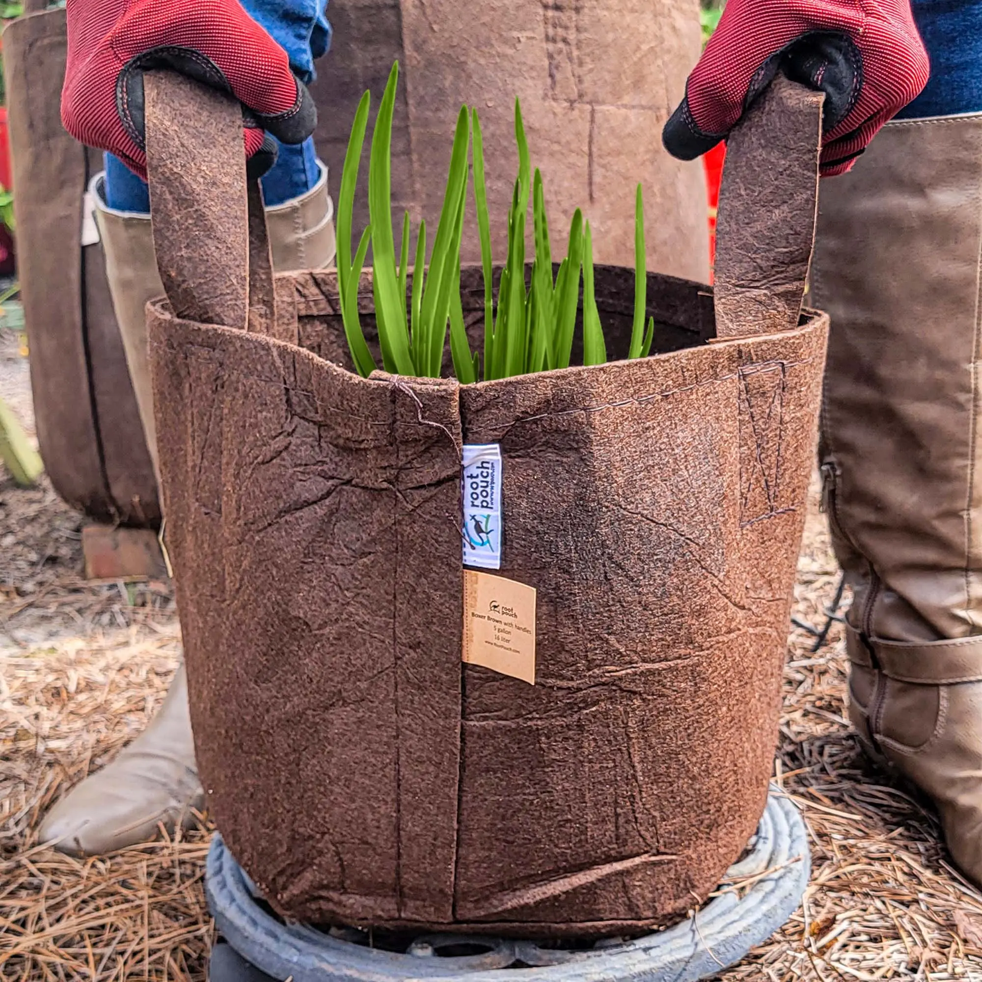 Root Pouch - 5 Gallon