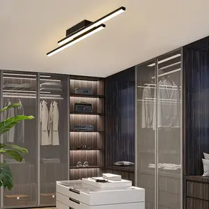 European Minimalist Long Strip Light, Corridor Hallway Lamp, Nordic Luxurious Closet Ceiling Light, Entryway Entrance Hallway Light