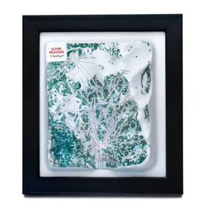 Alpine Meadows Ski Resort 3D Raised Relief Map