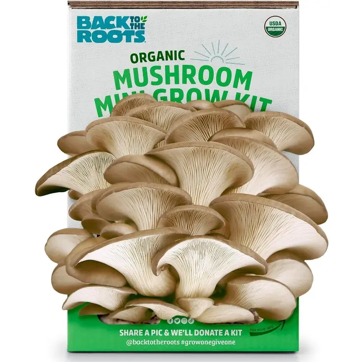 Back to the Roots Organic Mini Mushroom Grow Kit, Harvest Gourmet Oyster Mushrooms In 10 days, Top Gardening Gift, Holiday Gift, & Unique Gift