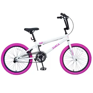 20*2.125 Inch Single Speed Freestyle MTB Steel Frame Aluminum Alloy Rim Rear Caliper Brake Height Adjustable Seatpost 170LBS Load 85% Pre-Assembled BMX Bike for 7-10 Years Old 48"-61" Height Riders