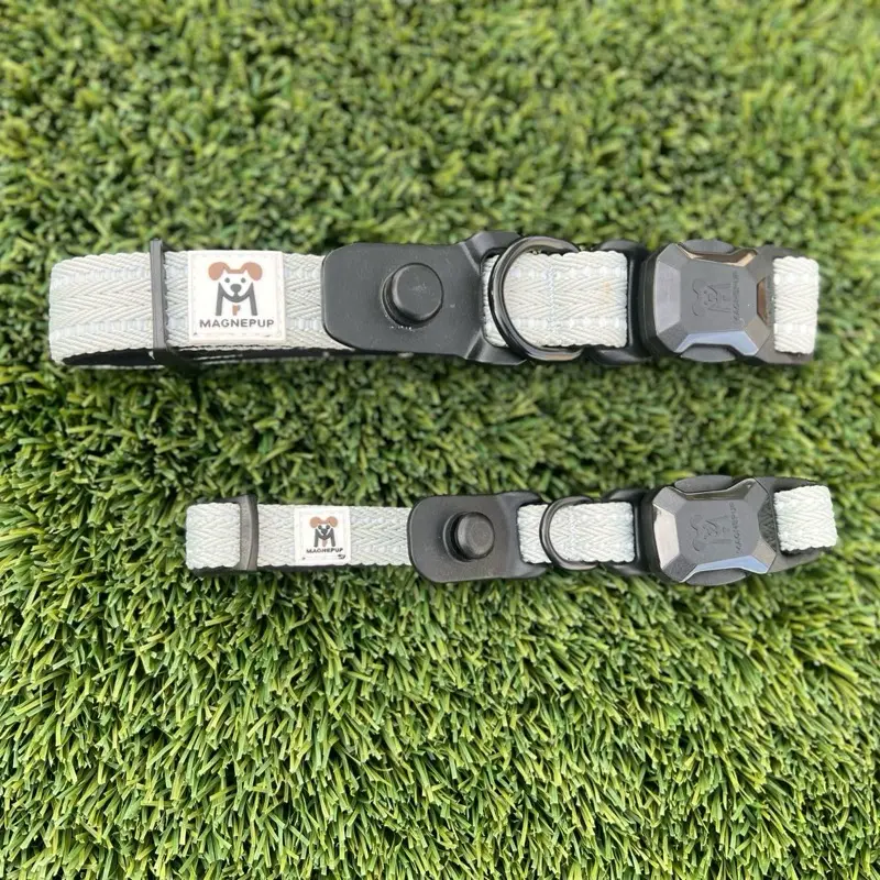 MAGNEPUP Click & Go Collar SILVER SAGE -  Easy Use Dog Collar with Magnetic Buckle