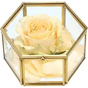 Preserved Flower Glass Box, Hexagon Glass  Decorative Bin, Ornate Trinket Display Organizer Case Keepsake Box  for Women