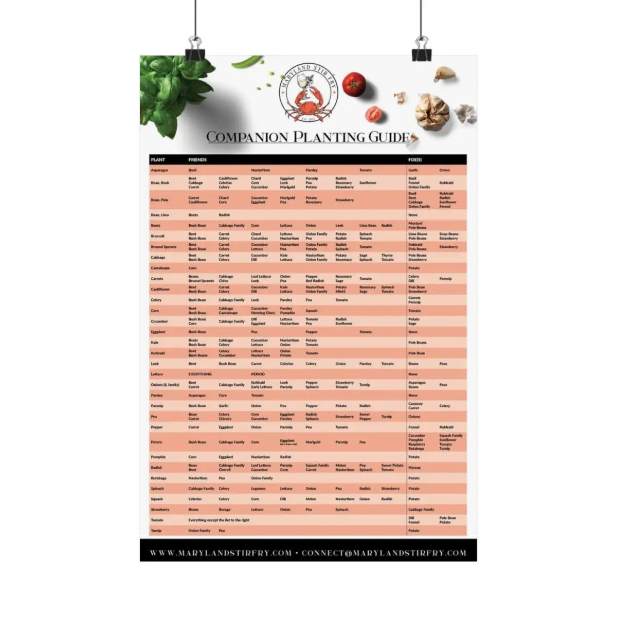 Companion Planting Poster - 13" x 19" Poster gardening organization and planting guide