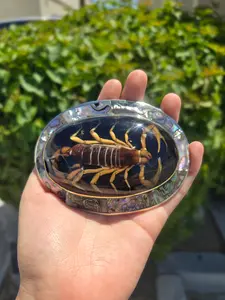 Scorpion Buckle